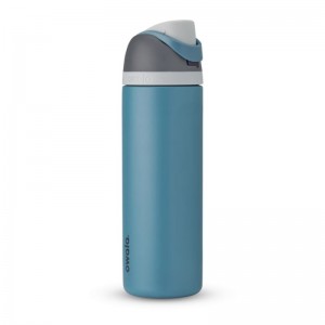 Blue Owala 24oz FreeSip® Stainless Steel Water Bottle | SOC8135FB