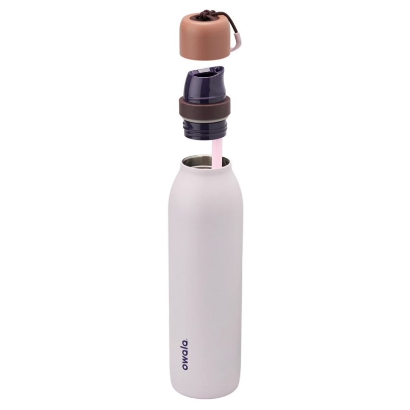 Purple Owala 24oz FreeSip® Twist Stainless Steel Water Bottle | DPQ4787MS